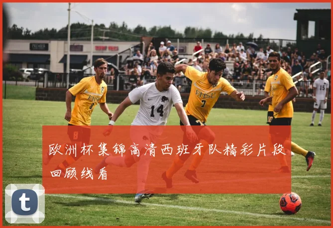 欧洲杯集锦高清西班牙队精彩片段回顾线看